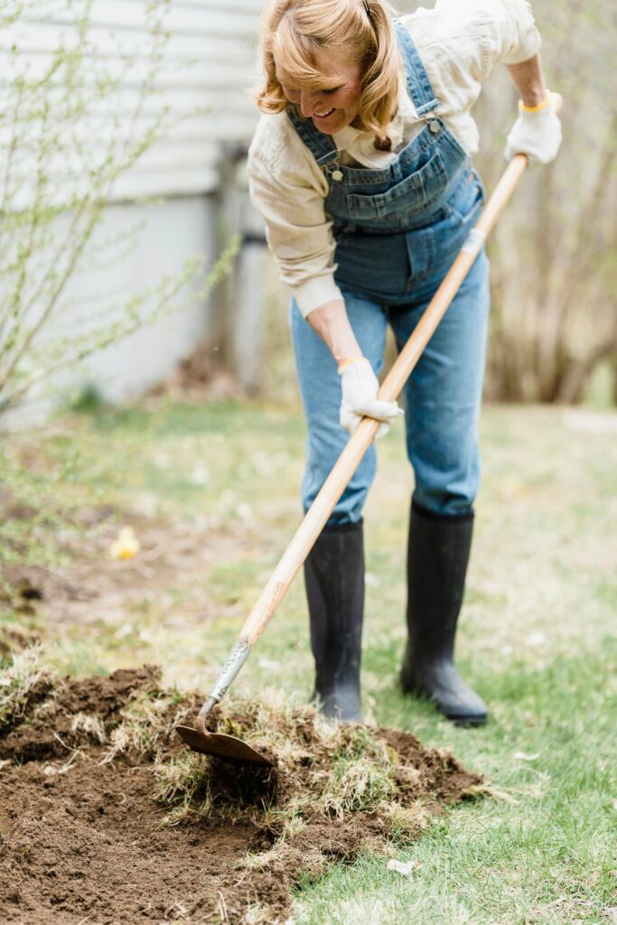 Arbor Day - Tips for Managing Trees Around Your Home